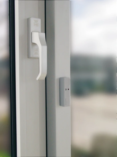 Seismic Alarm Sensor