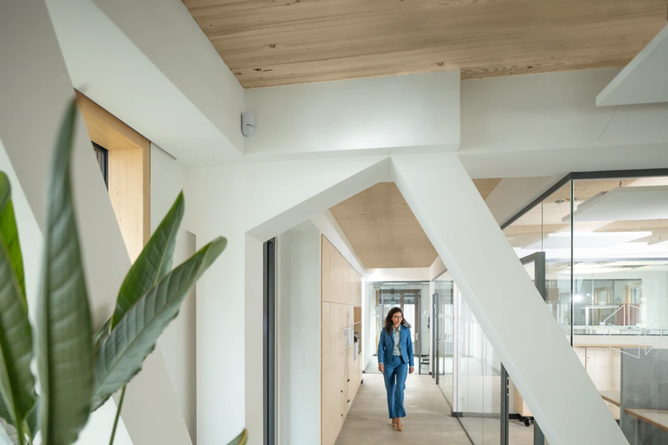 Secvest Funk-Bewegungsmelder