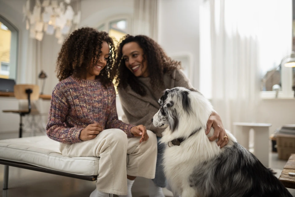 Comfion draadloze bewegingsmelder