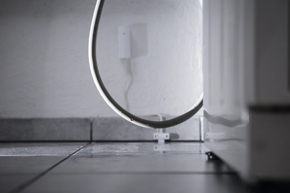 Secvest Détecteur d'Inondation sans Fil